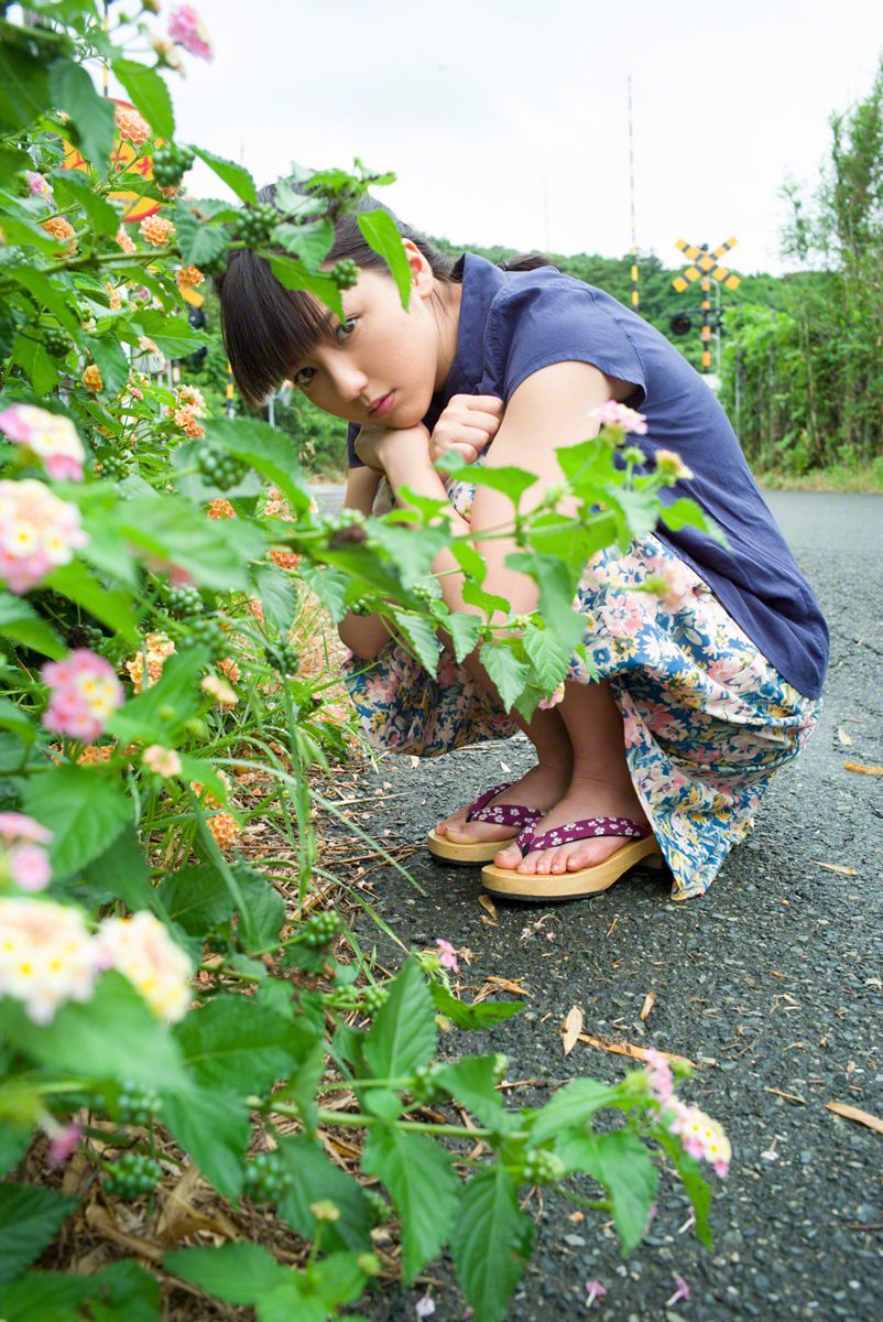 一树桃花